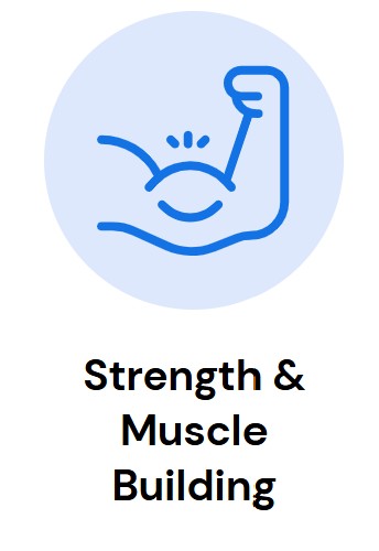 Strength and muscle building exercises for seniors promoting healthy aging, improved mobility, and safe physical fitness.