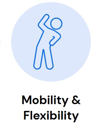 Mobility and flexibility exercises for seniors enhancing balance, joint health, and independence through safe daily movement.