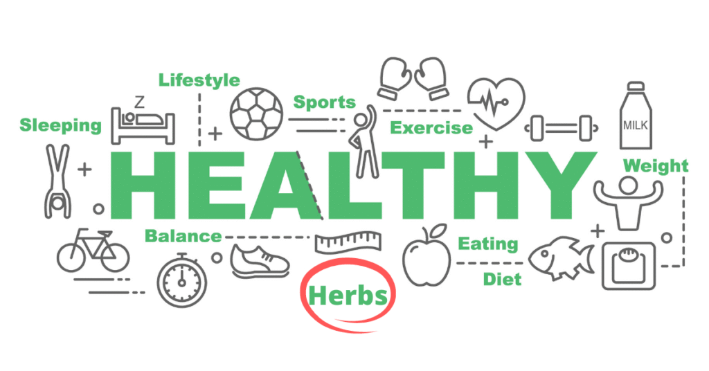 Supplements for seniors Vitamins and supplements for seniors supporting healthy aging, energy, bone strength, and overall wellness.